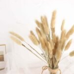 50-Pack Dried Bunny Tail Grass 15 Natural - Fluffy Lagurus Ovatus Rabbit Tail Ornamental Grass