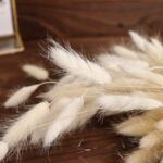 50-Pack Dried Bunny Tail Grass 15 Natural White - Soft Fluffy Lagurus Ovatus Rabbit Tail Ornamental Grass for Boho Bouquets Backdrops & Vase Decor